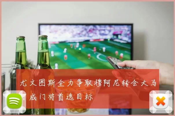 尤文图斯全力争取穆阿尼转会大马丁成门将首选目标